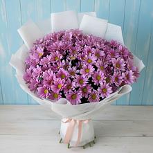 Букет цветов из:  Хризантемы в Милютинской